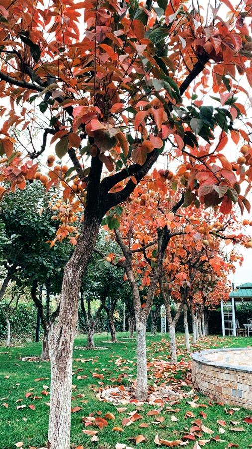 Park Ashik Hotel Laknas Exterior foto