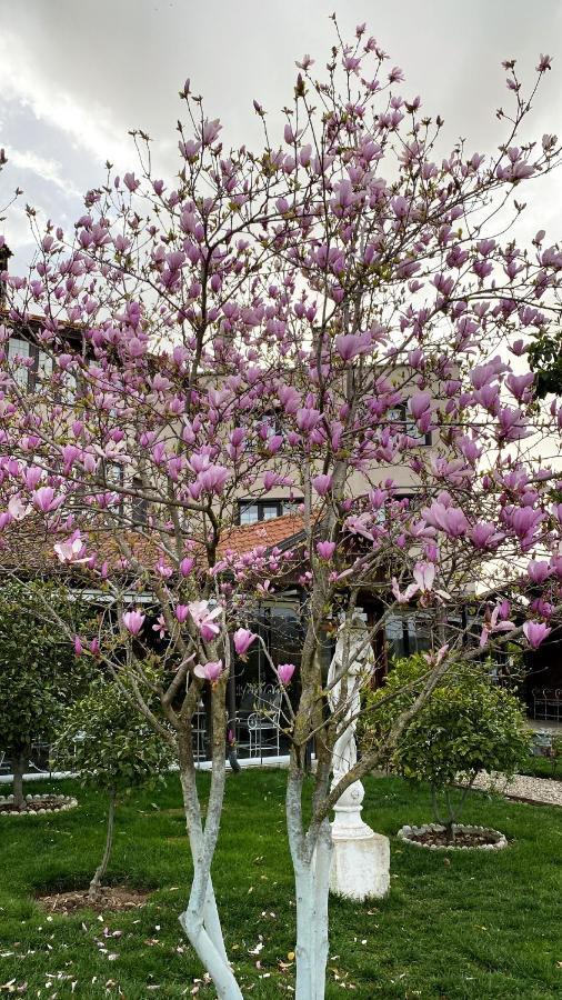 Park Ashik Hotel Laknas Exterior foto